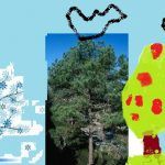 1arbol1vida