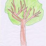 1arbol1vida