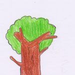 1arbol1vida