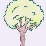 1arbol1vida