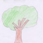 1arbol1vida