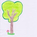 1arbol1vida