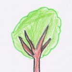 1arbol1vida