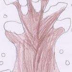 1arbol1vida