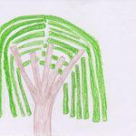 1arbol1vida