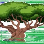 1arbol1vida
