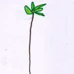 1arbol1vida