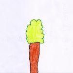 1arbol1vida