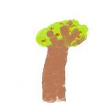 1arbol1vida