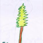 1arbol1vida