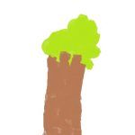 1arbol1vida