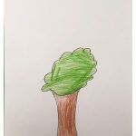 1arbol1vida