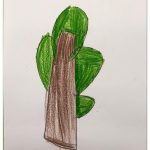 1arbol1vida
