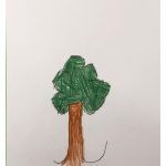 1arbol1vida