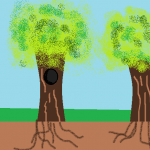 1arbol1vida