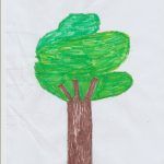 Dibujo 1arbol1vida 9