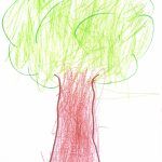 Oscar2020-03-13 1arbol1vida
