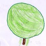 dibujo árbol 1arbol1vida