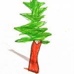 1arbol1vida