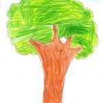 1arbol1vida