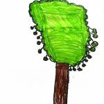 1arbol1vida