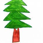 1arbol1vida