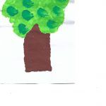 1arbol1vida