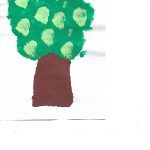 1arbol1vida