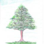 1arbol1vida
