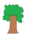 1arbol1vida