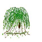 1arbol1vida
