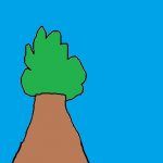 1arbol1vida