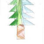 1arbol1vida