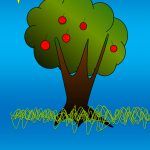 1arbol1vida