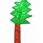 1arbol1vida