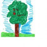 1arbol1vida
