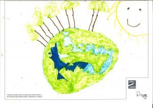 1arbol1vida- 1º-B