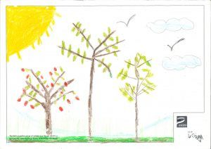 1arbol1vida- 1º-C