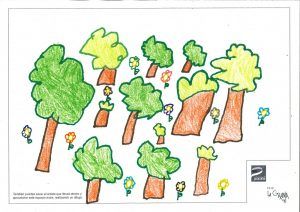 1arbol1vida- 4º-A